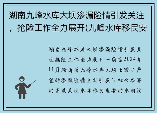 湖南九峰水库大坝渗漏险情引发关注，抢险工作全力展开(九峰水库移民安置政策)