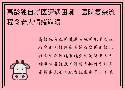 高龄独自就医遭遇困境：医院复杂流程令老人情绪崩溃