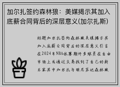 加尔扎签约森林狼：美媒揭示其加入底薪合同背后的深层意义(加尔扎斯)