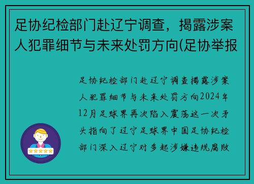足协纪检部门赴辽宁调查，揭露涉案人犯罪细节与未来处罚方向(足协举报电话)