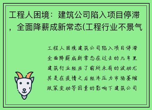 工程人困境：建筑公司陷入项目停滞，全面降薪成新常态(工程行业不景气)