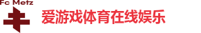 爱游戏体育在线娱乐